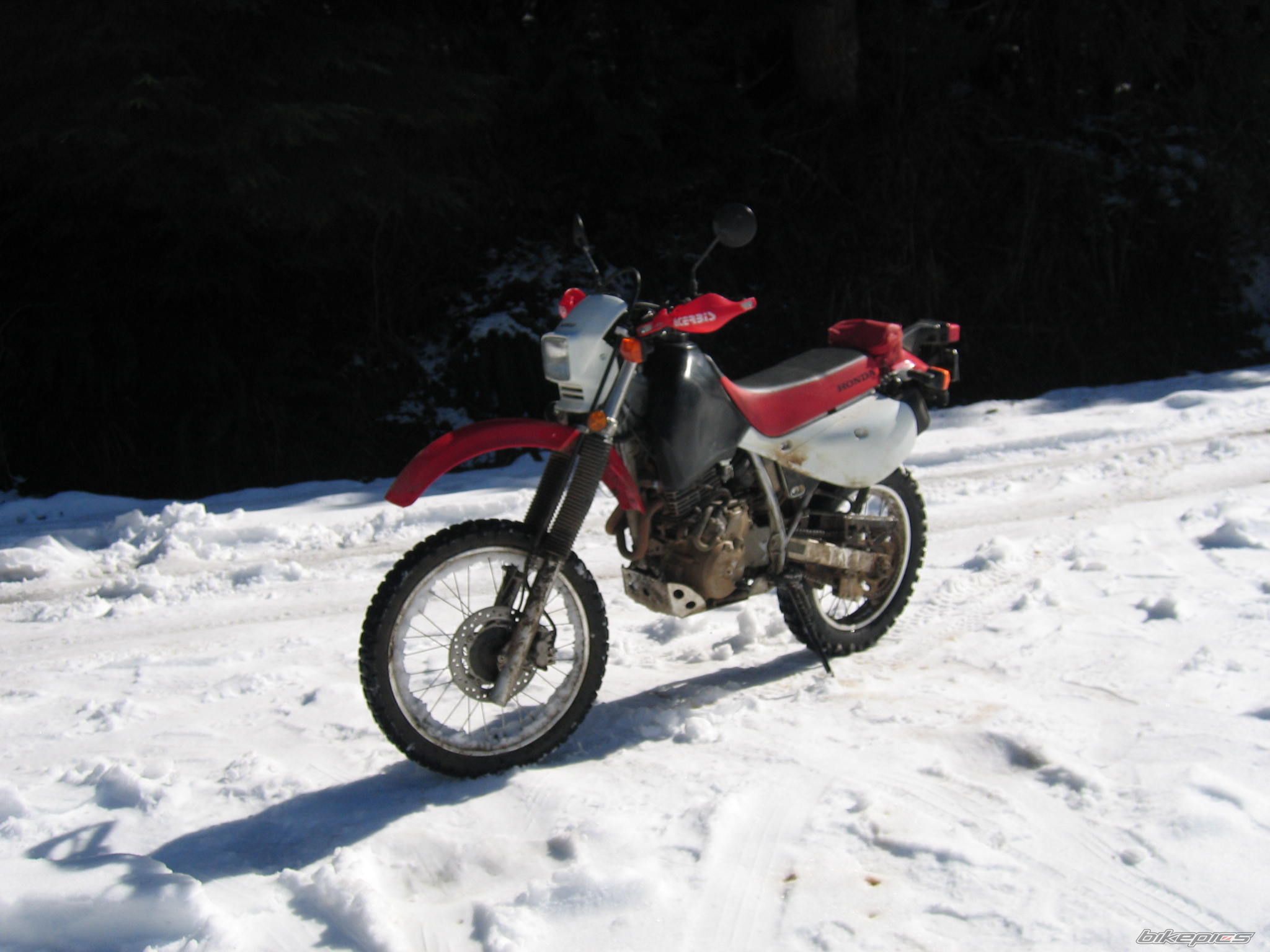 Photo 1239723