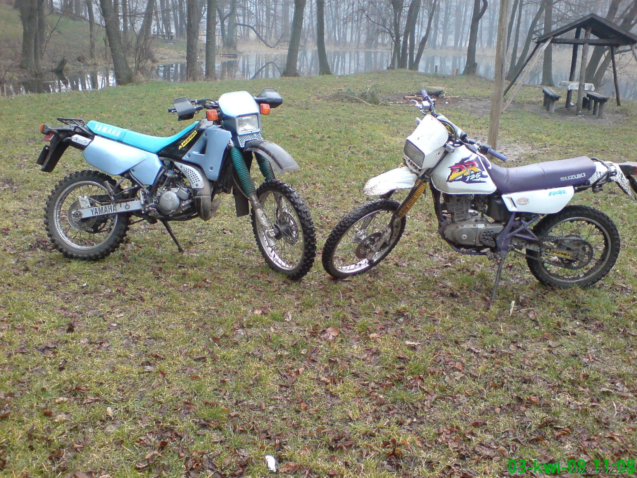 Photo 1239866