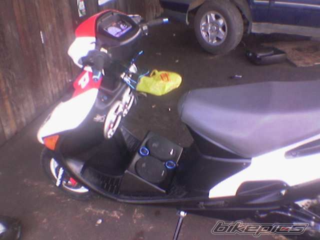 Photo 1239911