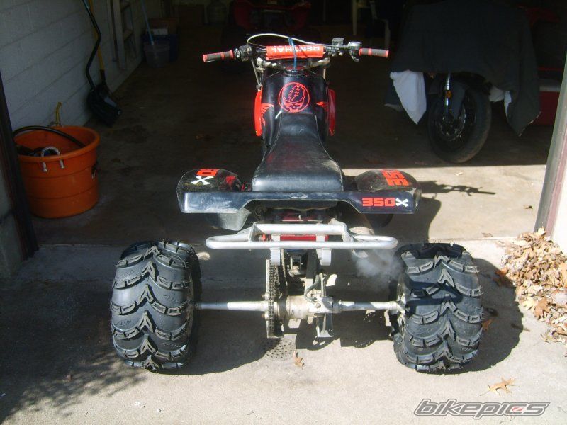 Photo 1239921
