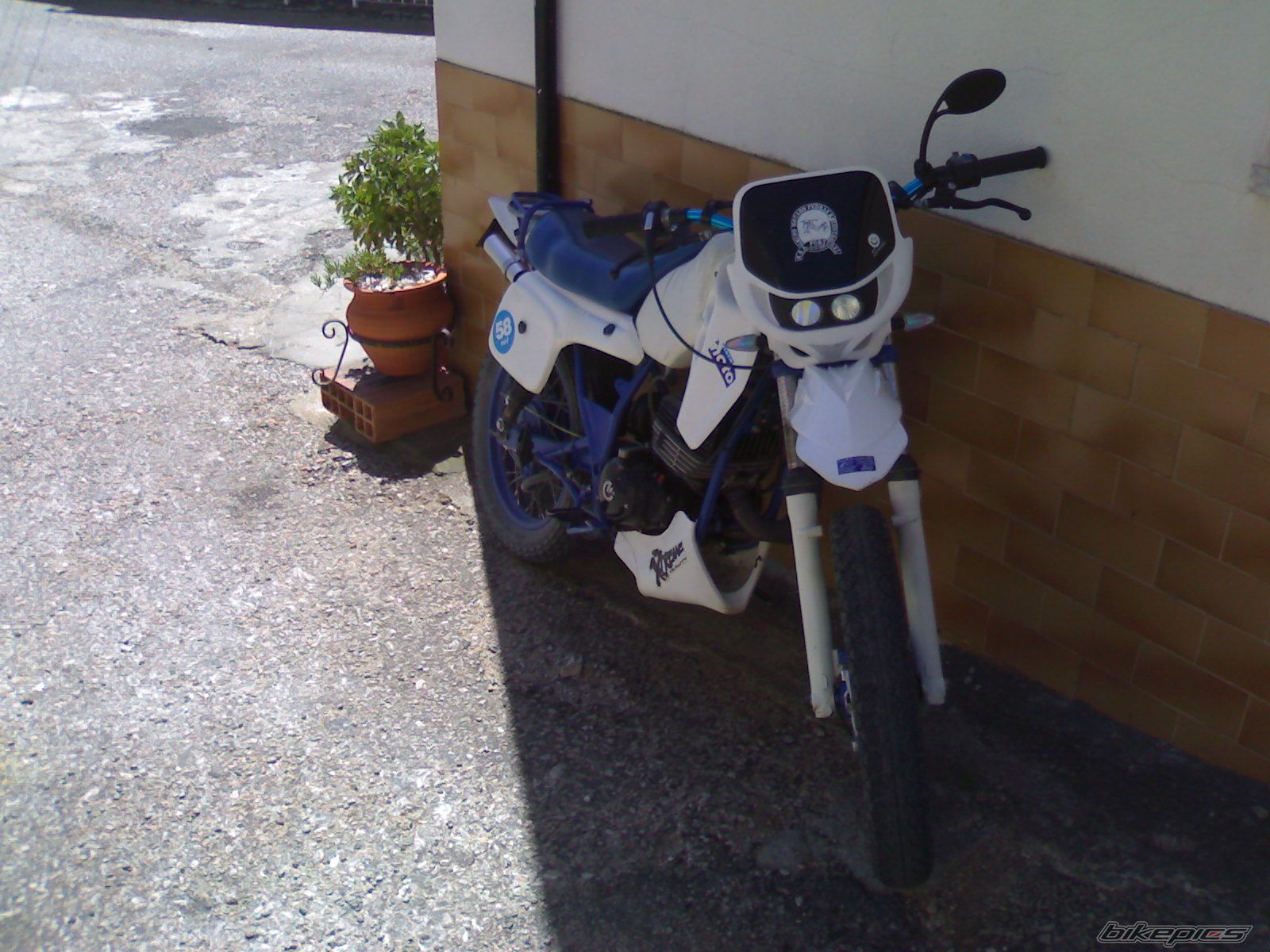 Photo 1239954