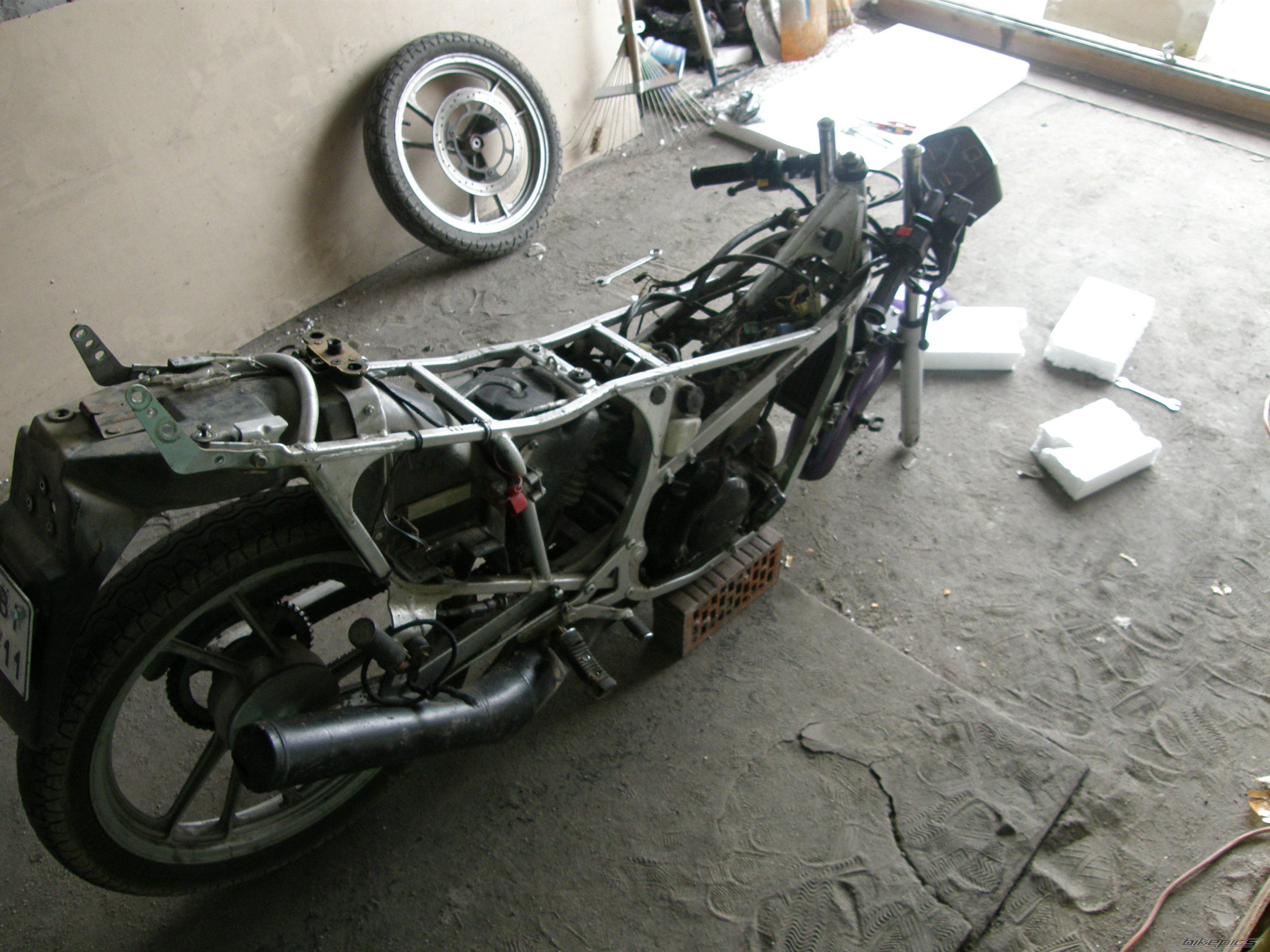 Photo 1239983
