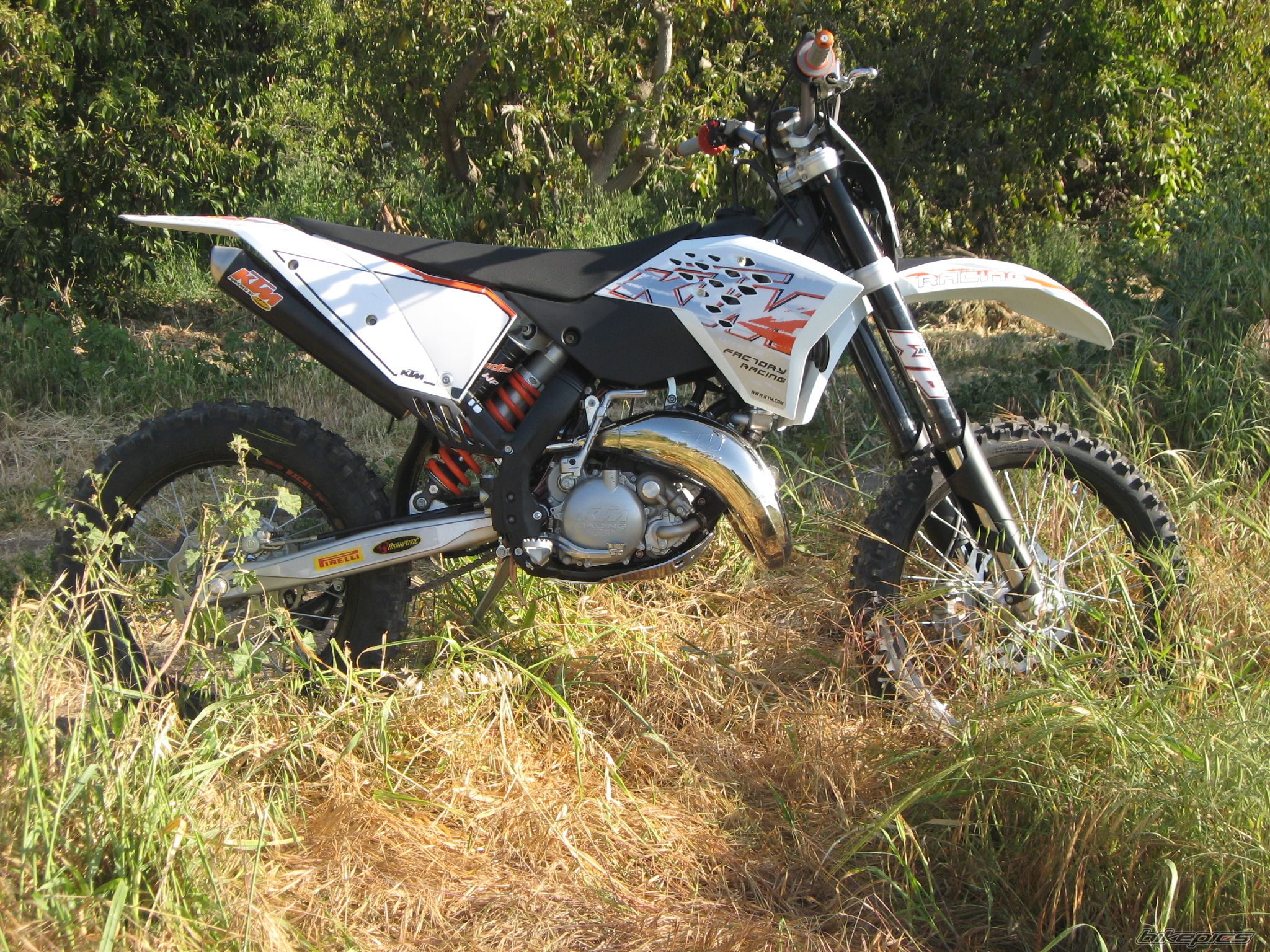 Photo 1240024