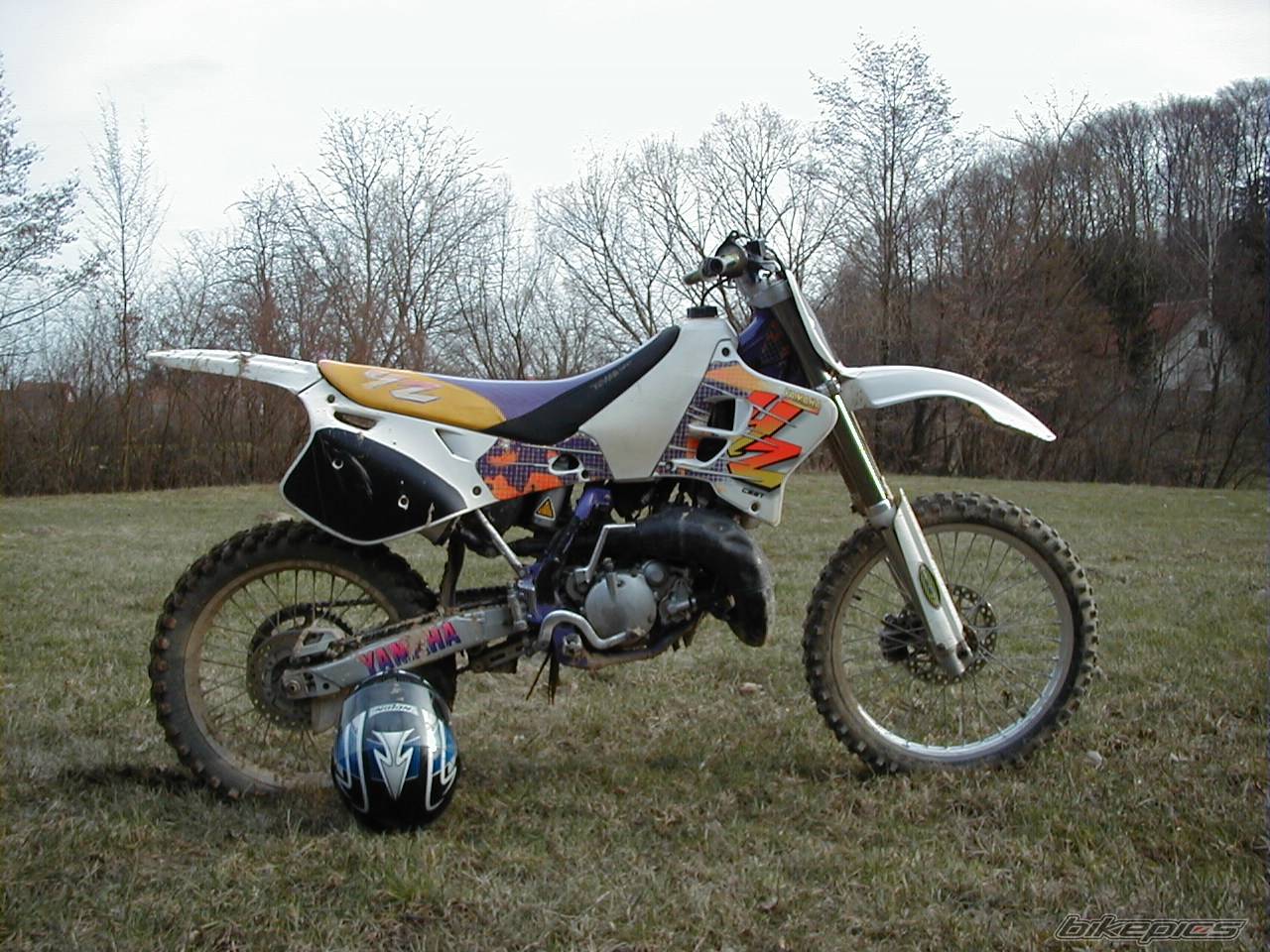 Photo 124008