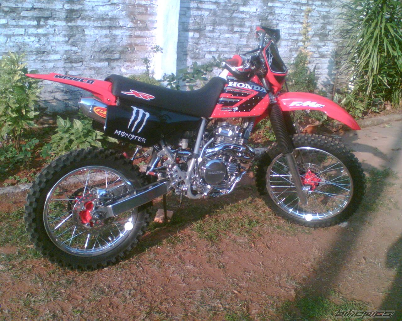 Photo 1240083