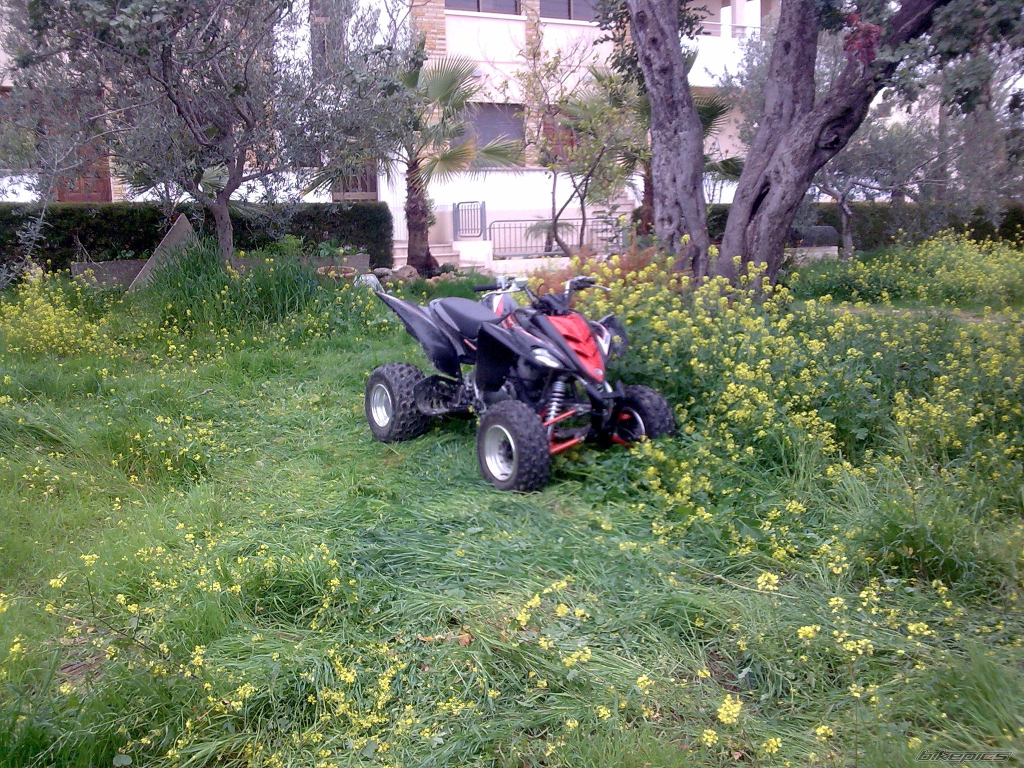 Bike Photo 1240101