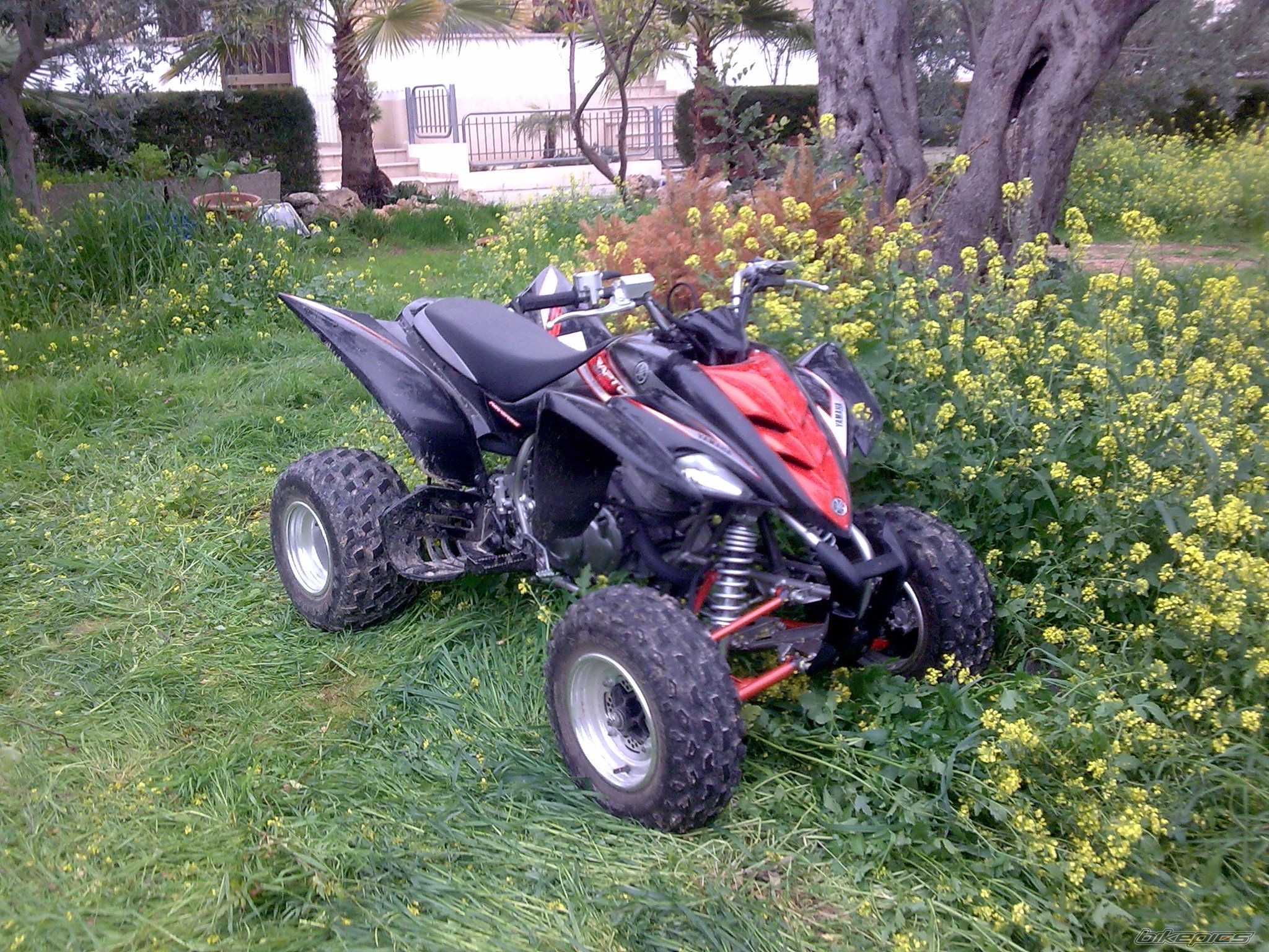 Bike Photo 1240117