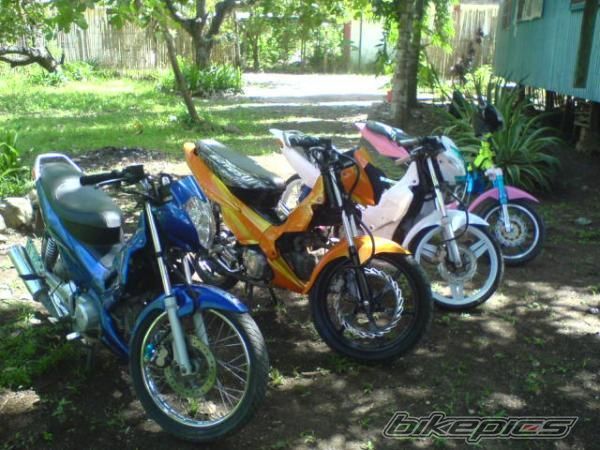 Photo 1240168