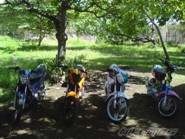 Photo 1240170