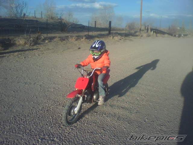 Photo 1240201