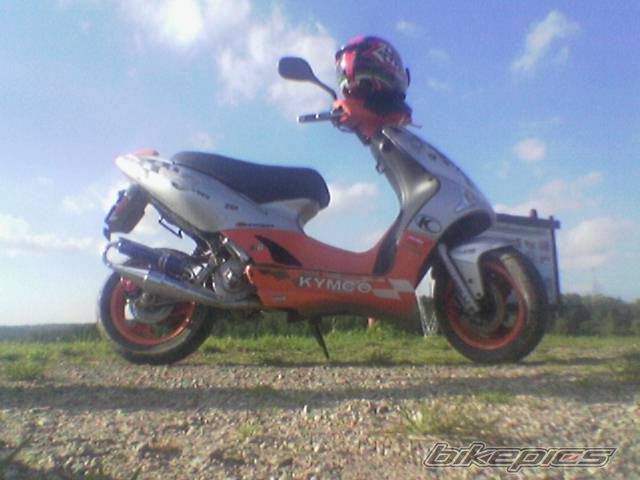 Photo 1240209
