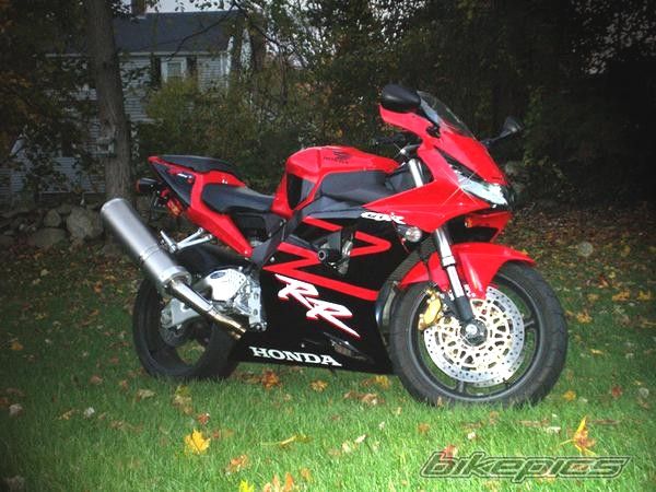Photo 1240262