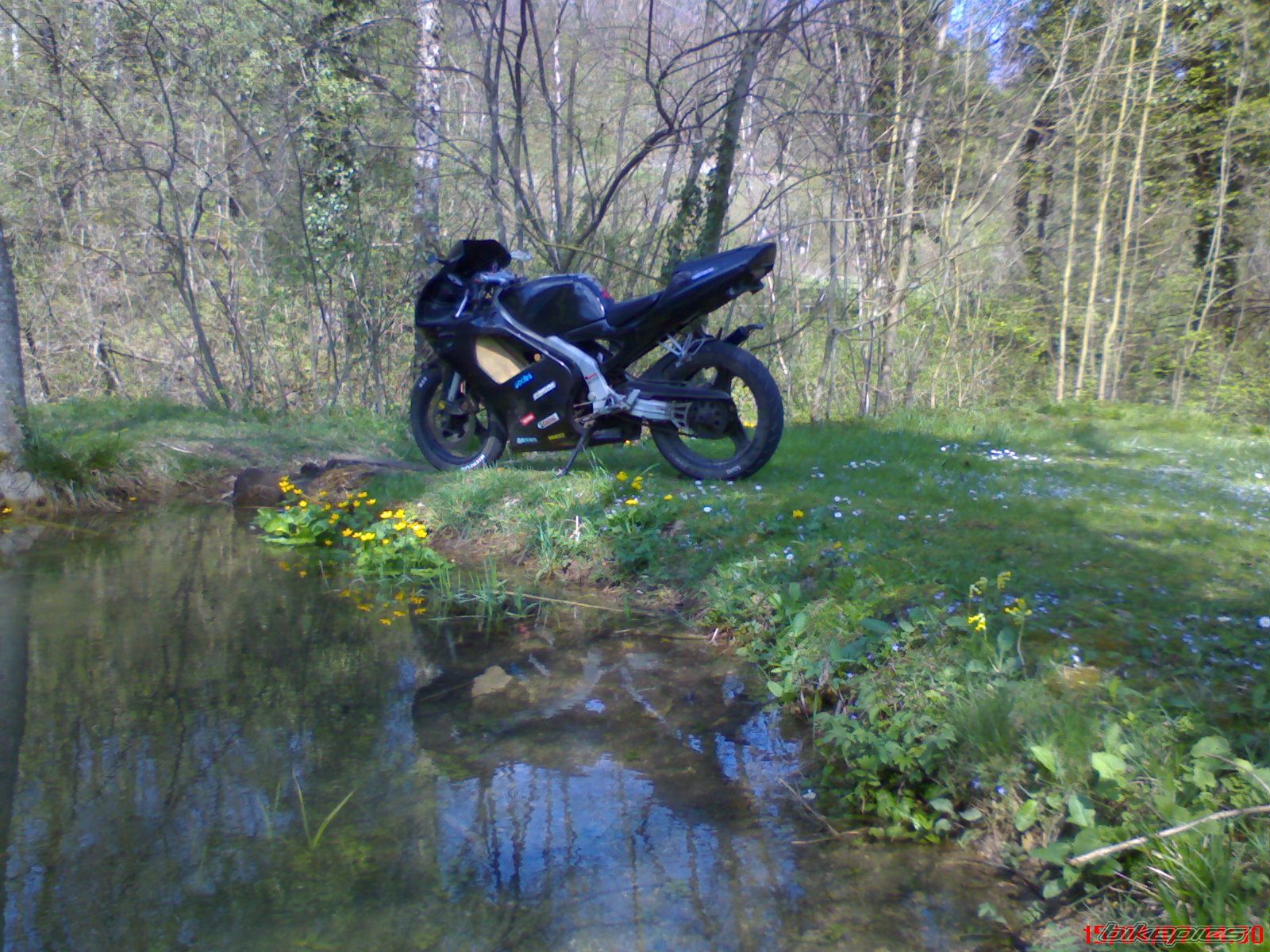 Bike Photo 1240401