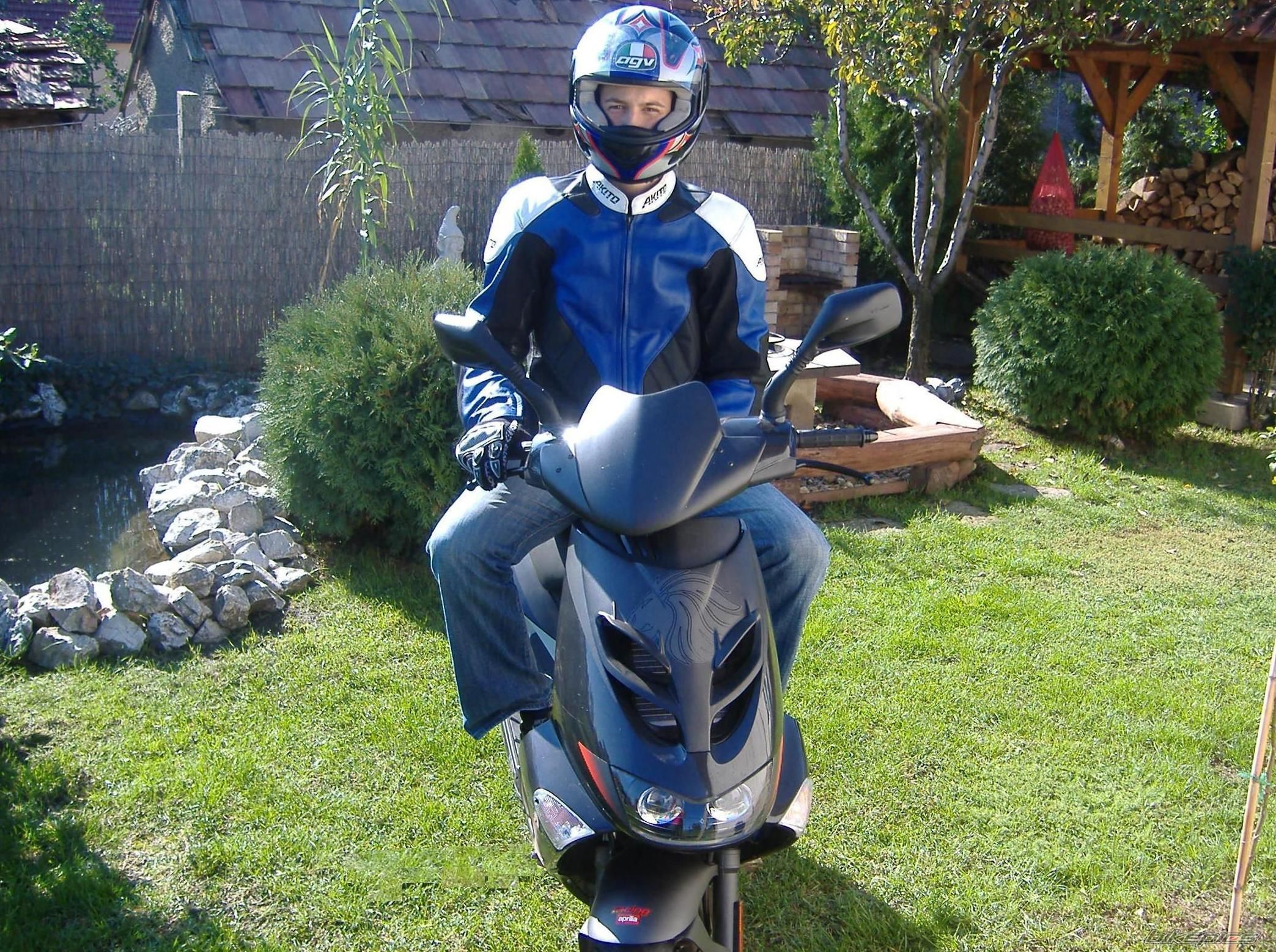 Photo 1240404