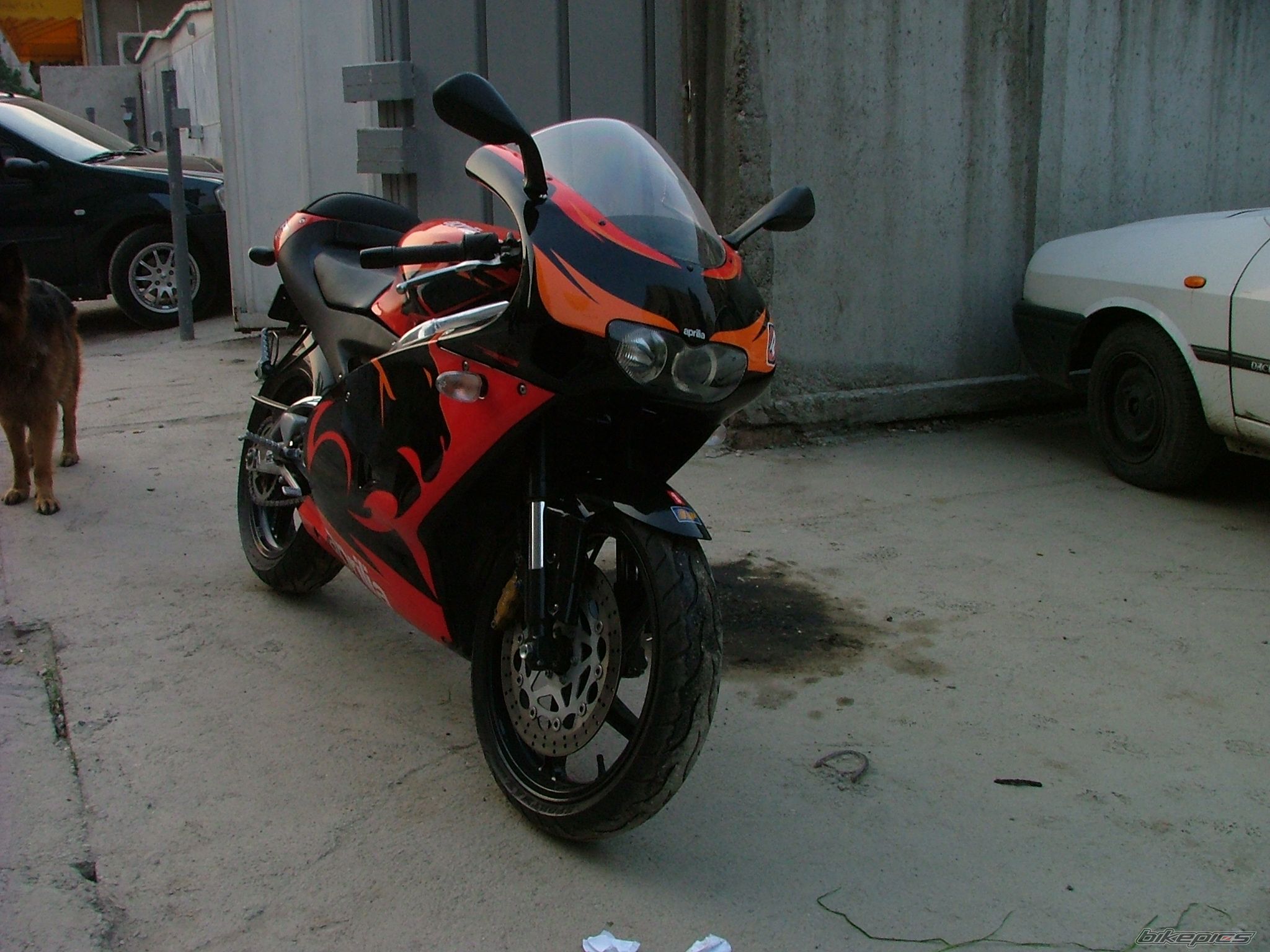 Photo 1240502