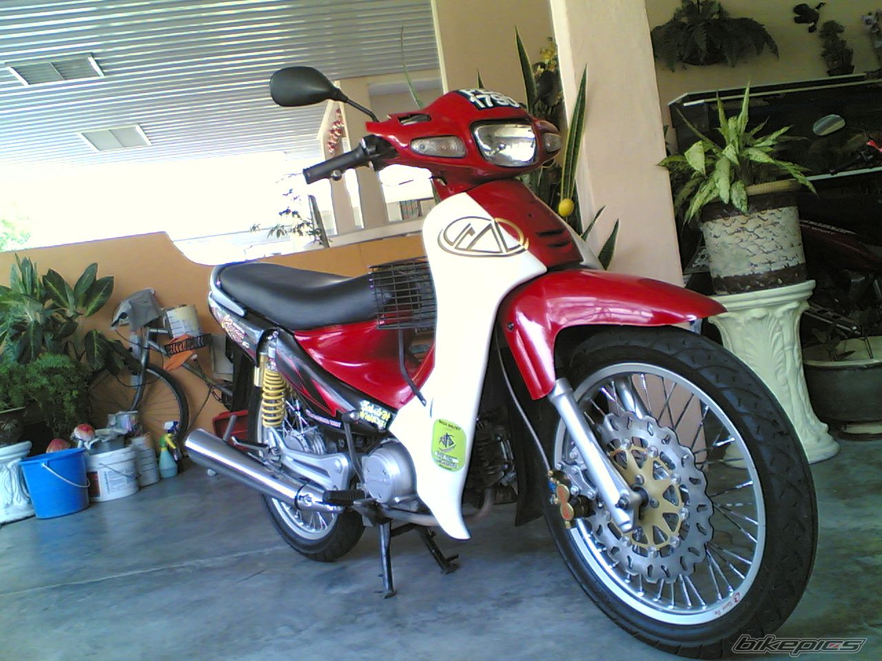 Photo 1240597