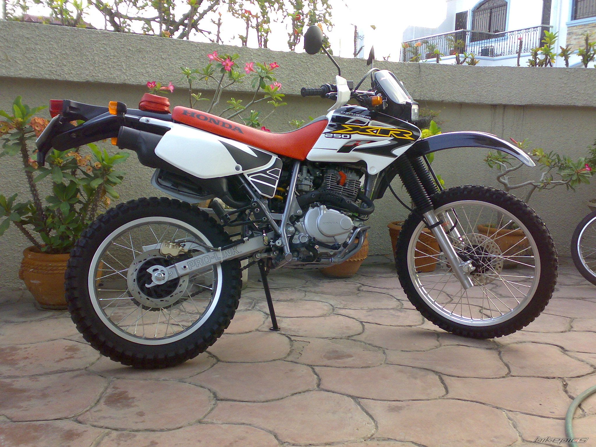 Bike Photo 1240795