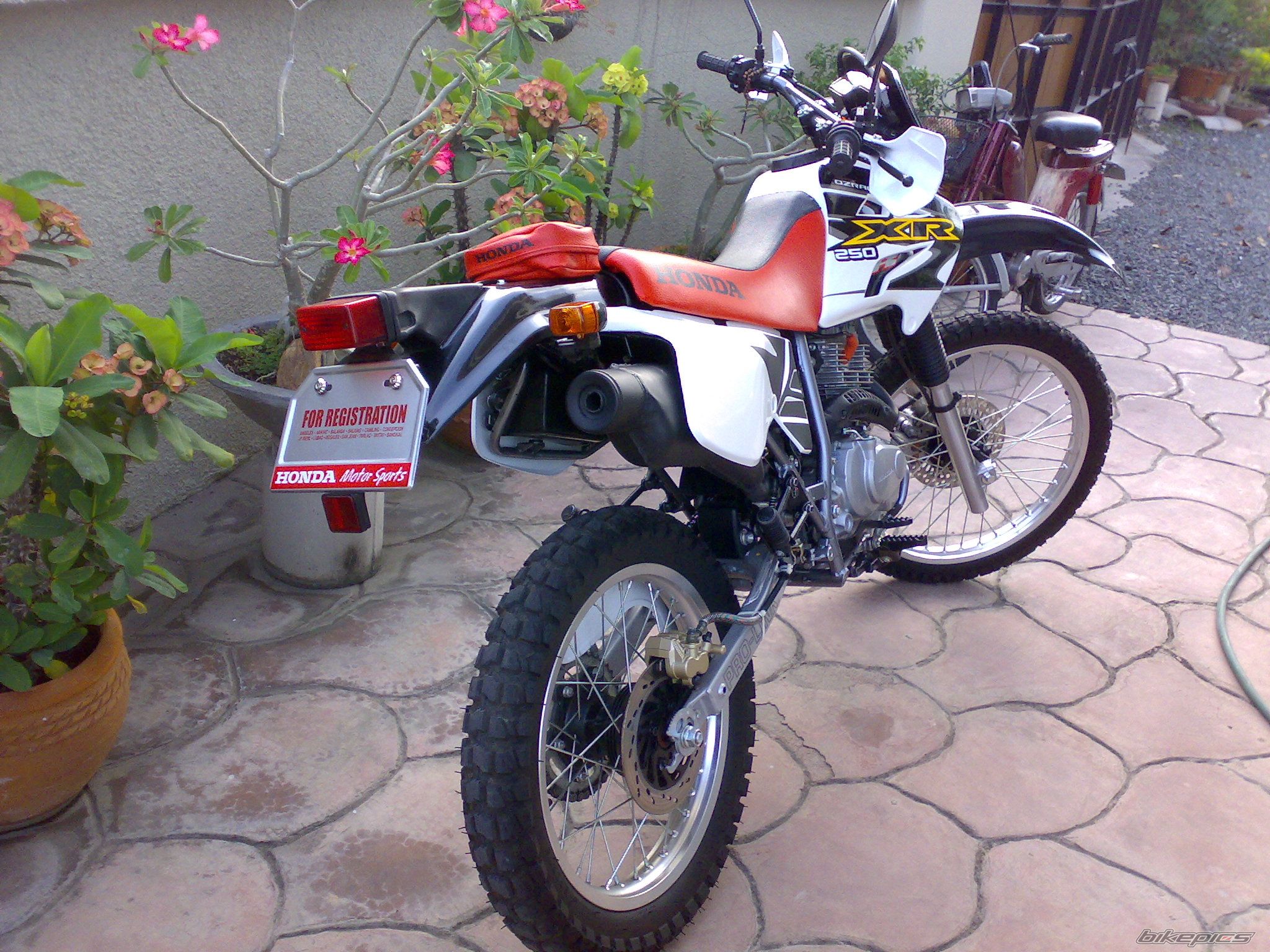 Bike Photo 1240798