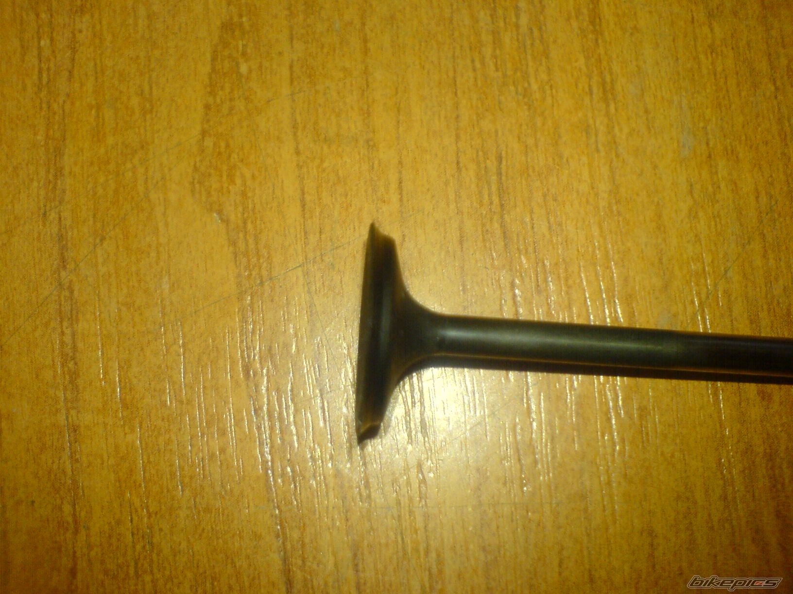 Photo 1240829