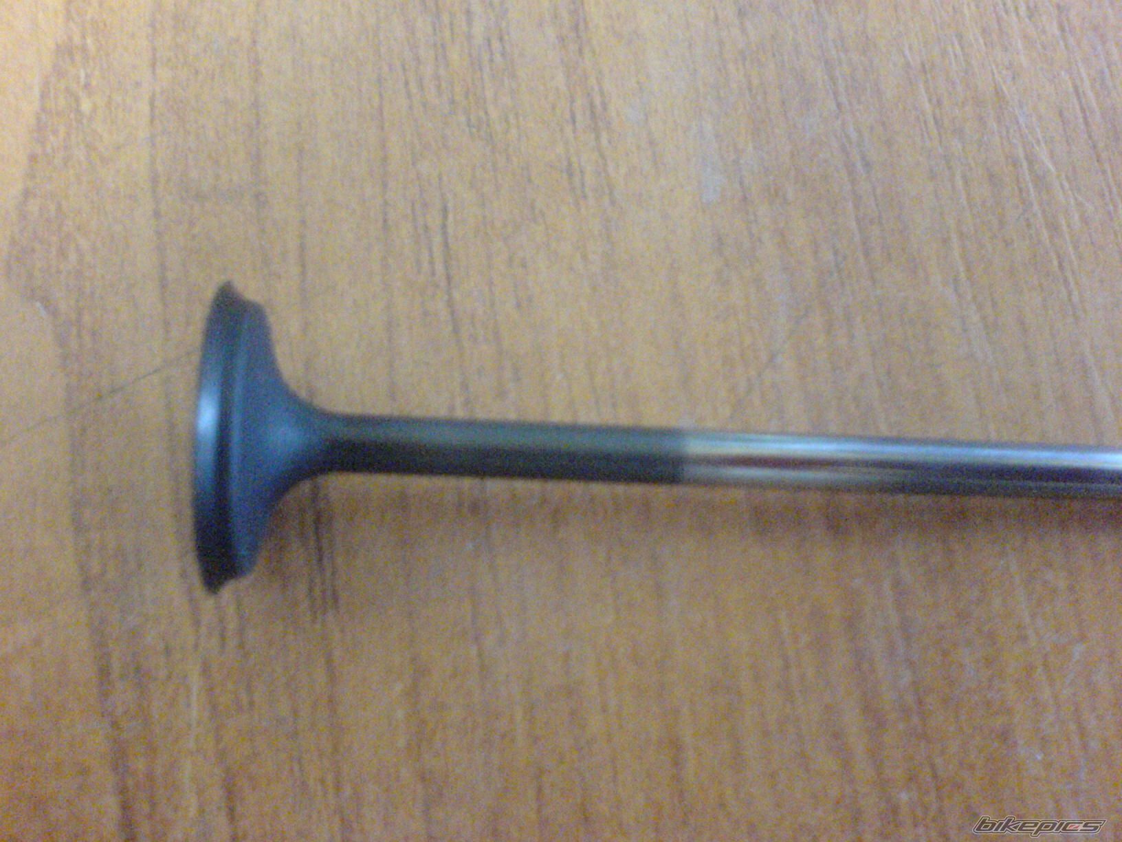 Photo 1240830