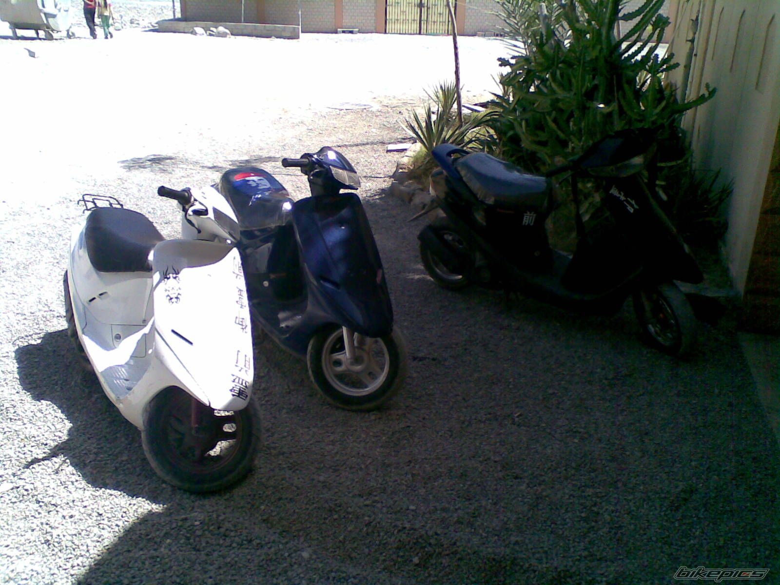 Photo 1240831