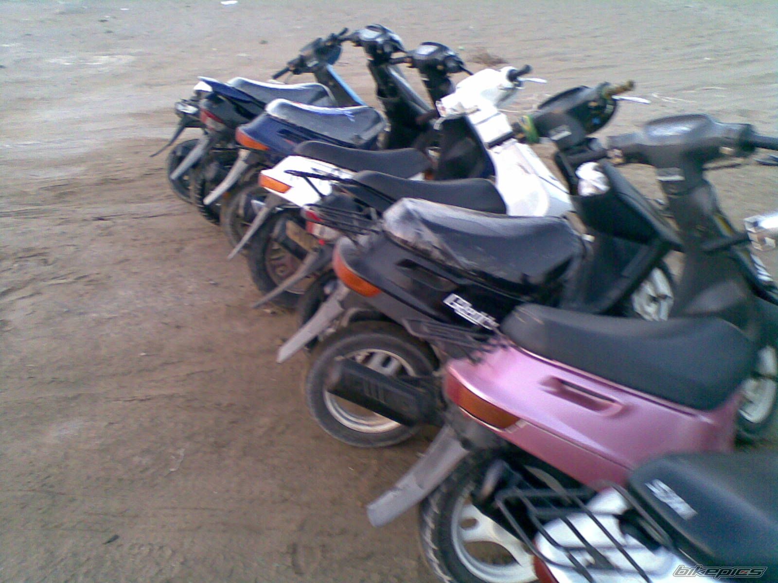 Photo 1240838