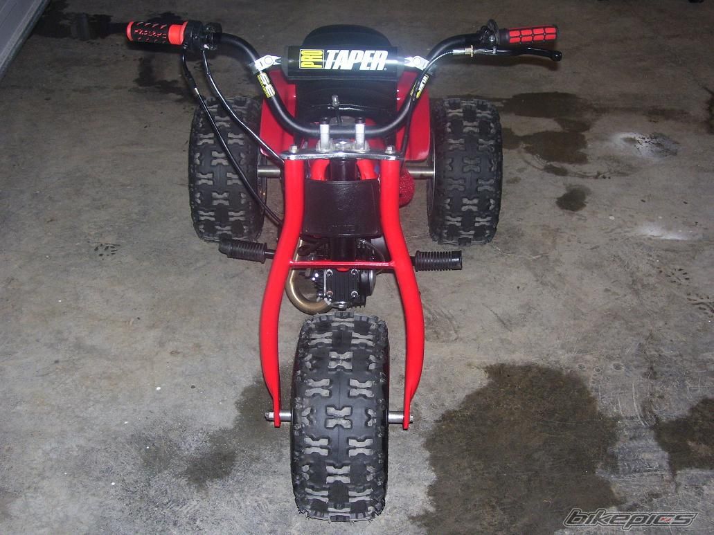 Photo 1240852