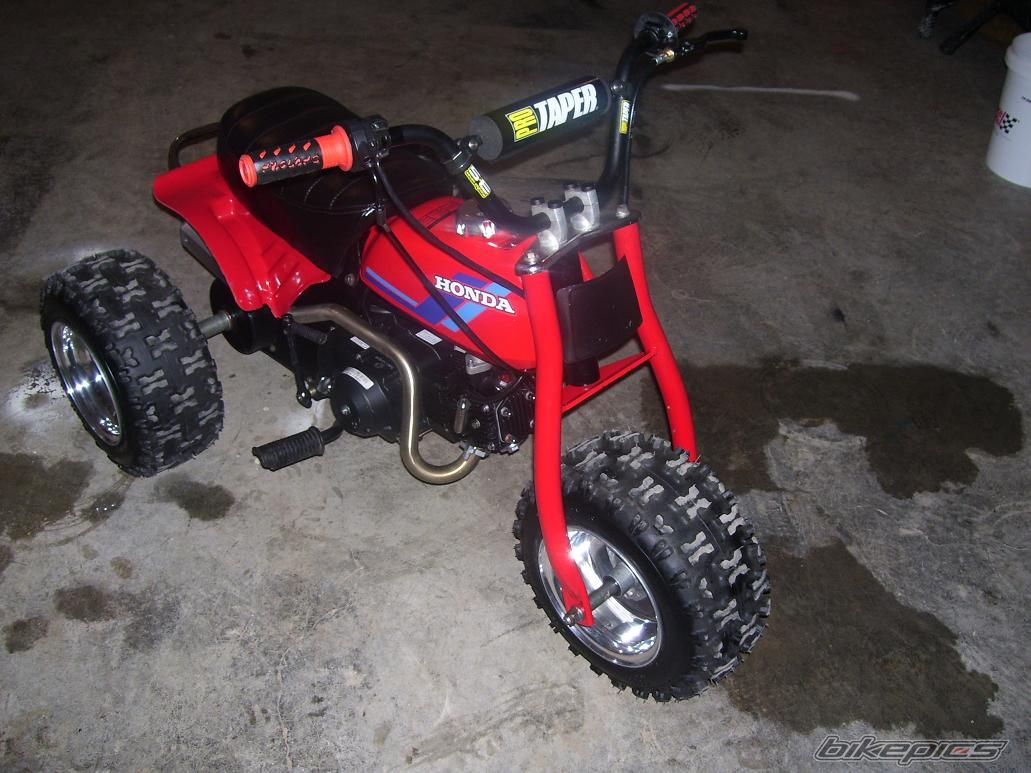 Photo 1240854