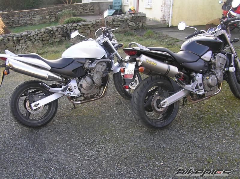 Photo 1240862