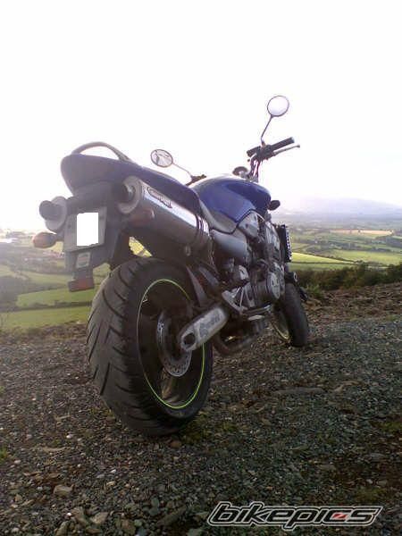 Photo 1240864