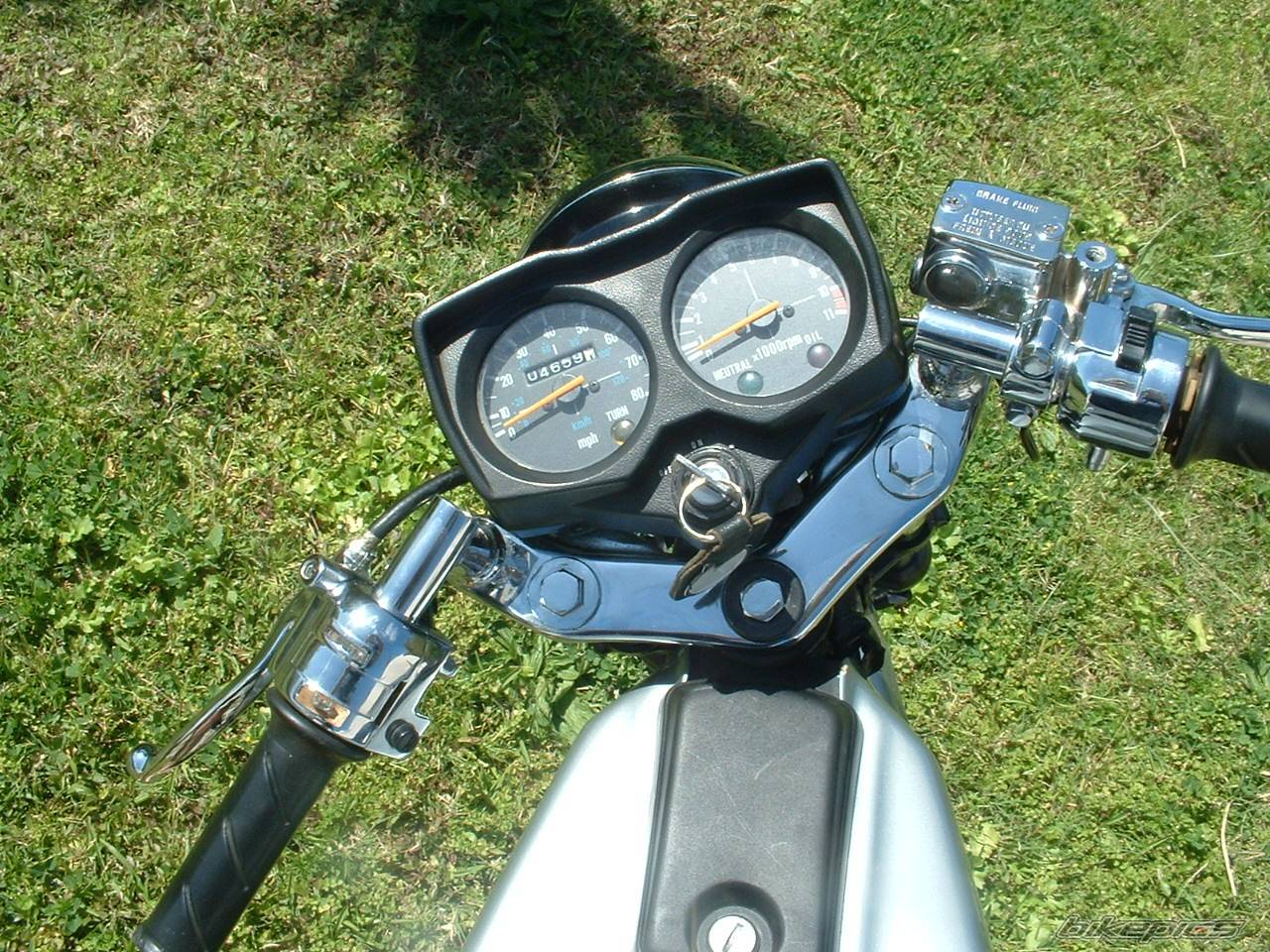 Photo 124093