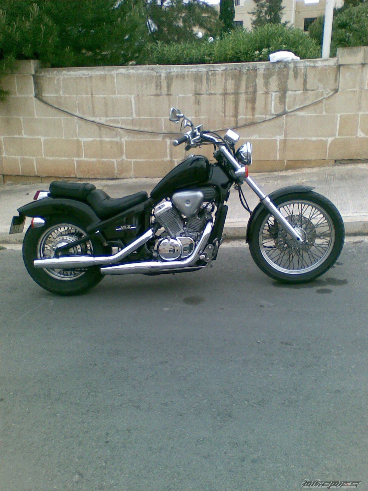 Photo 1240958