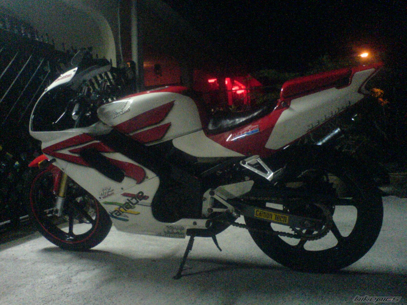 Photo 1240966