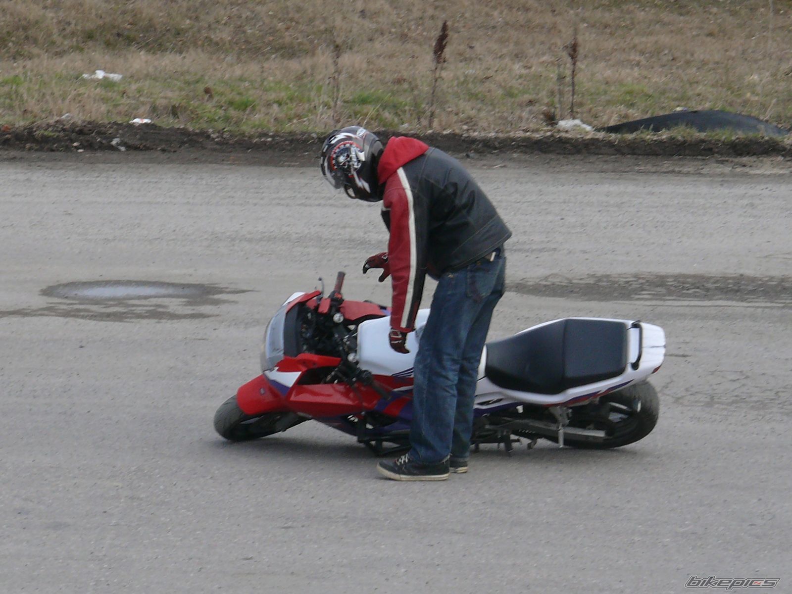 Photo 1240993
