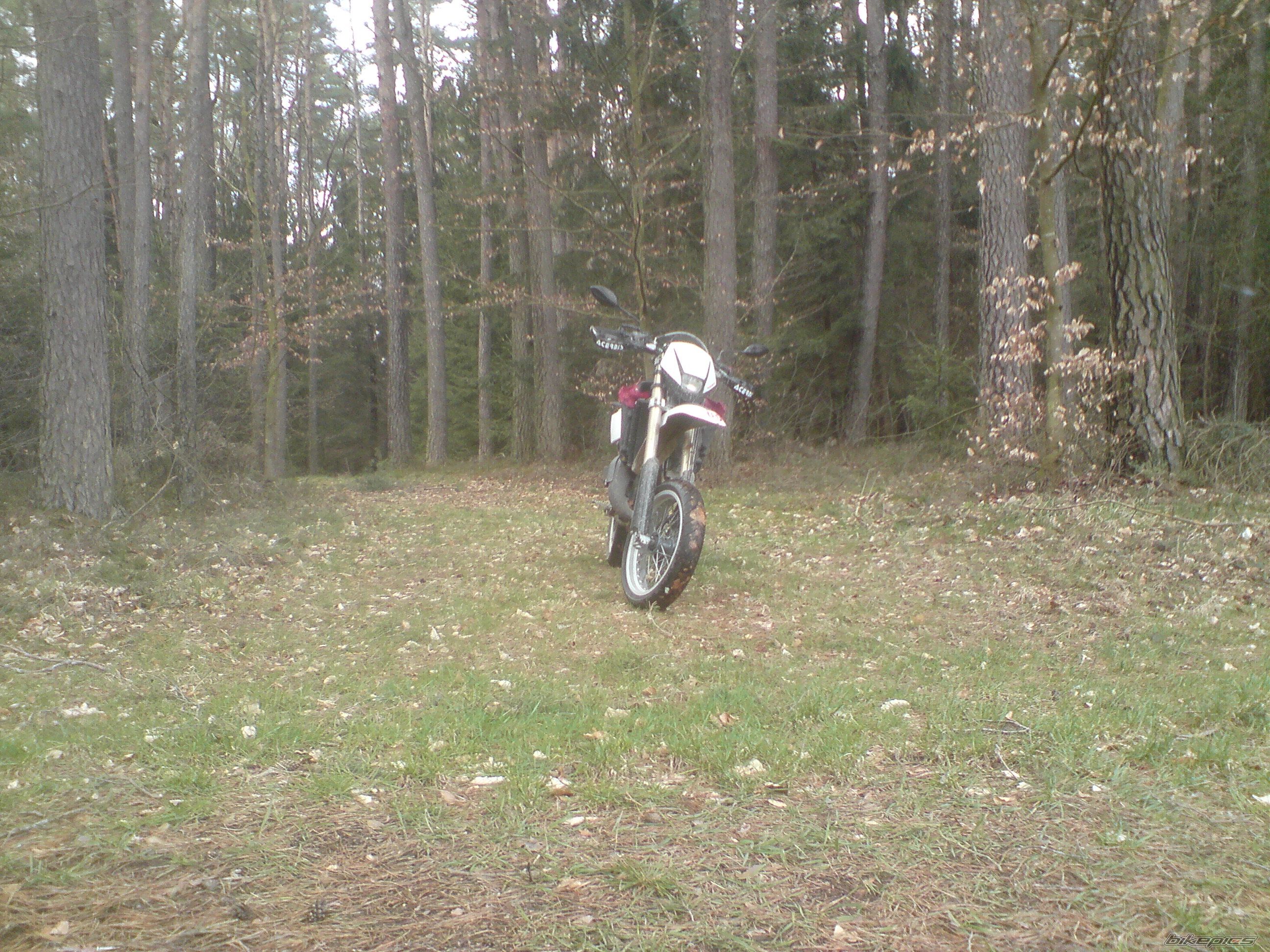 Photo 1241093