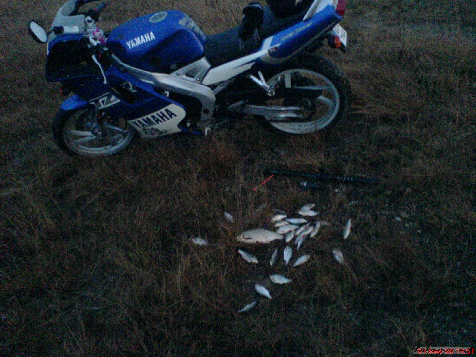 Bike Photo 1241124