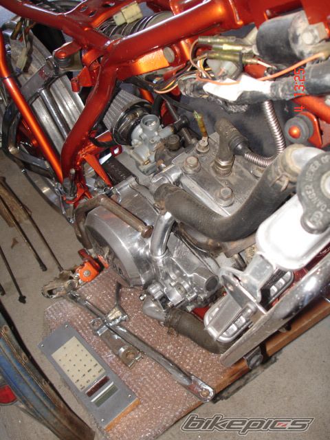 Photo 1241129