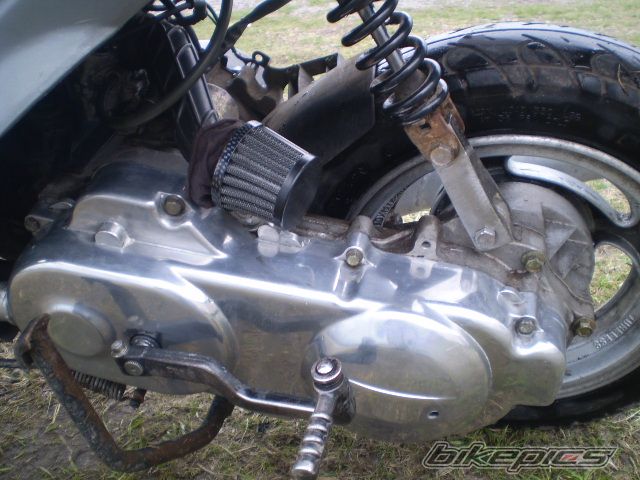 Photo 1241140