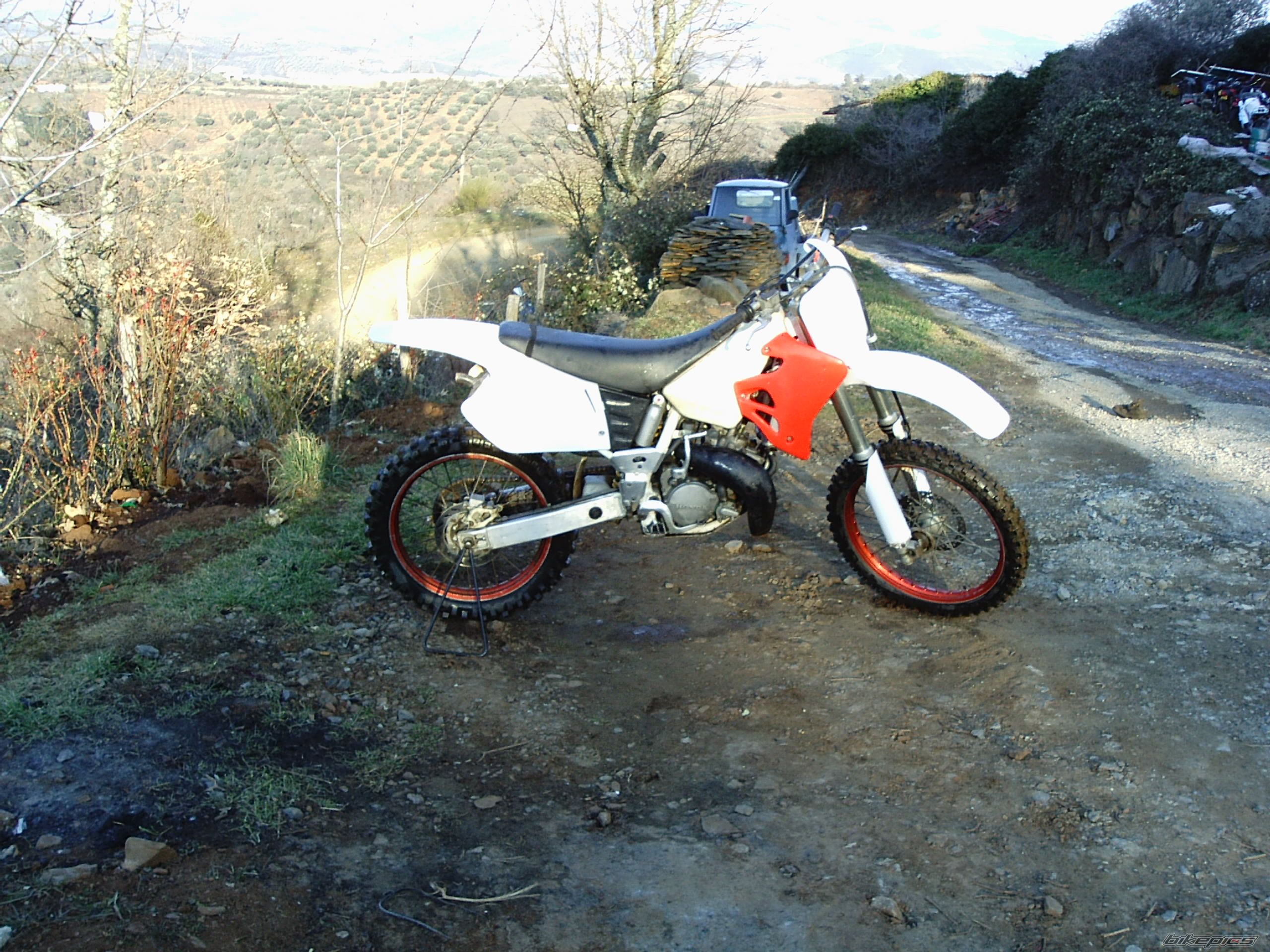 Photo 1241191