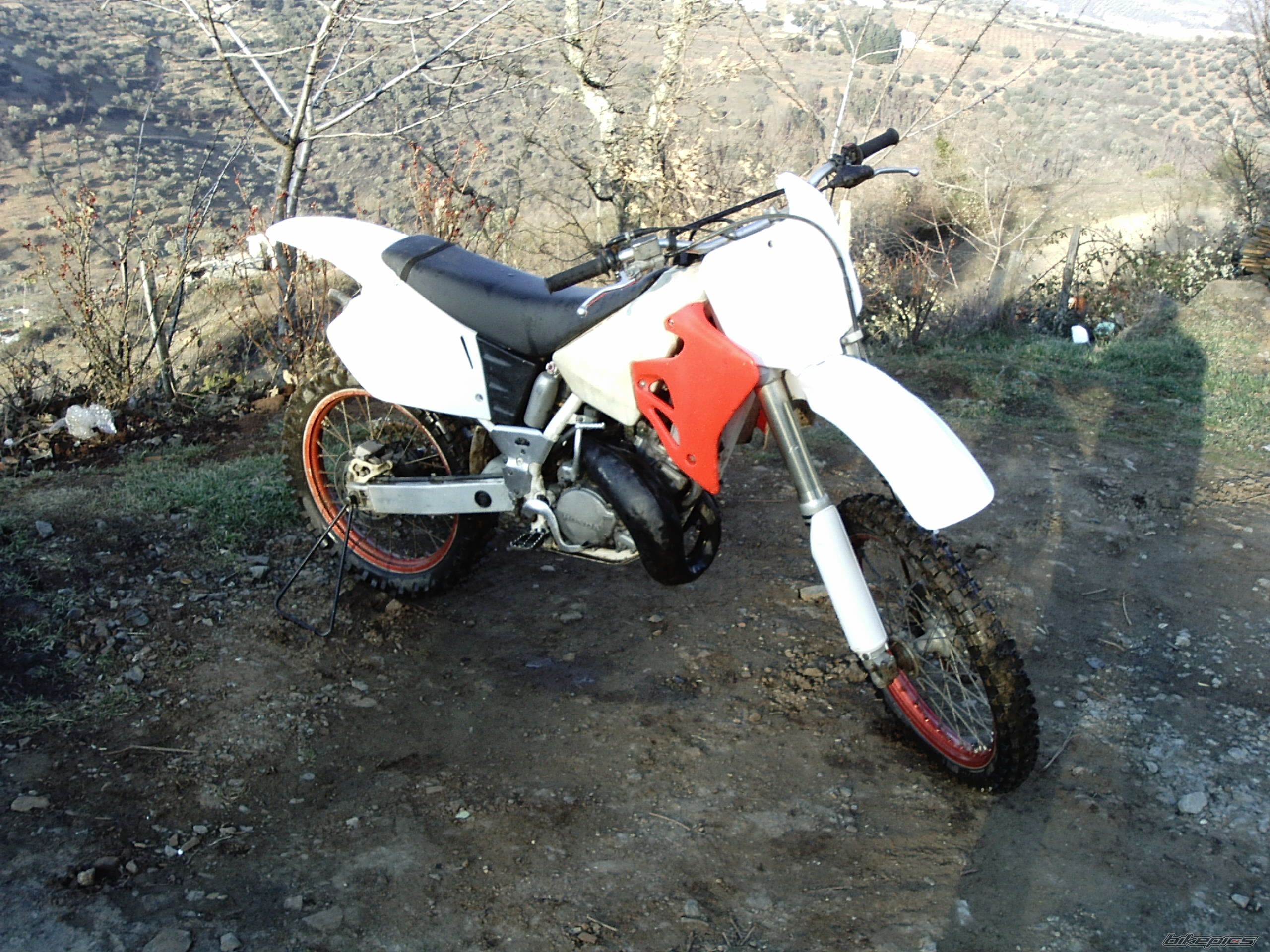 Photo 1241194