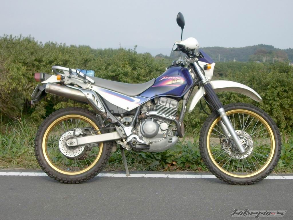 Photo 1241222