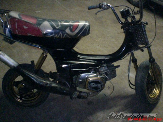 Photo 1241225