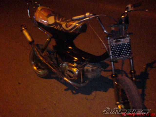 Photo 1241226