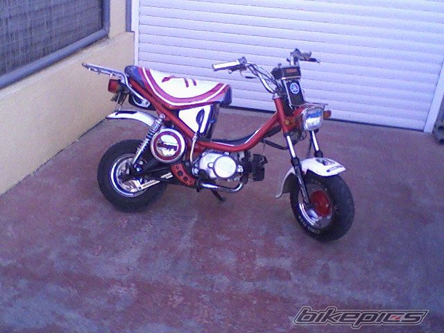 Photo 1241228