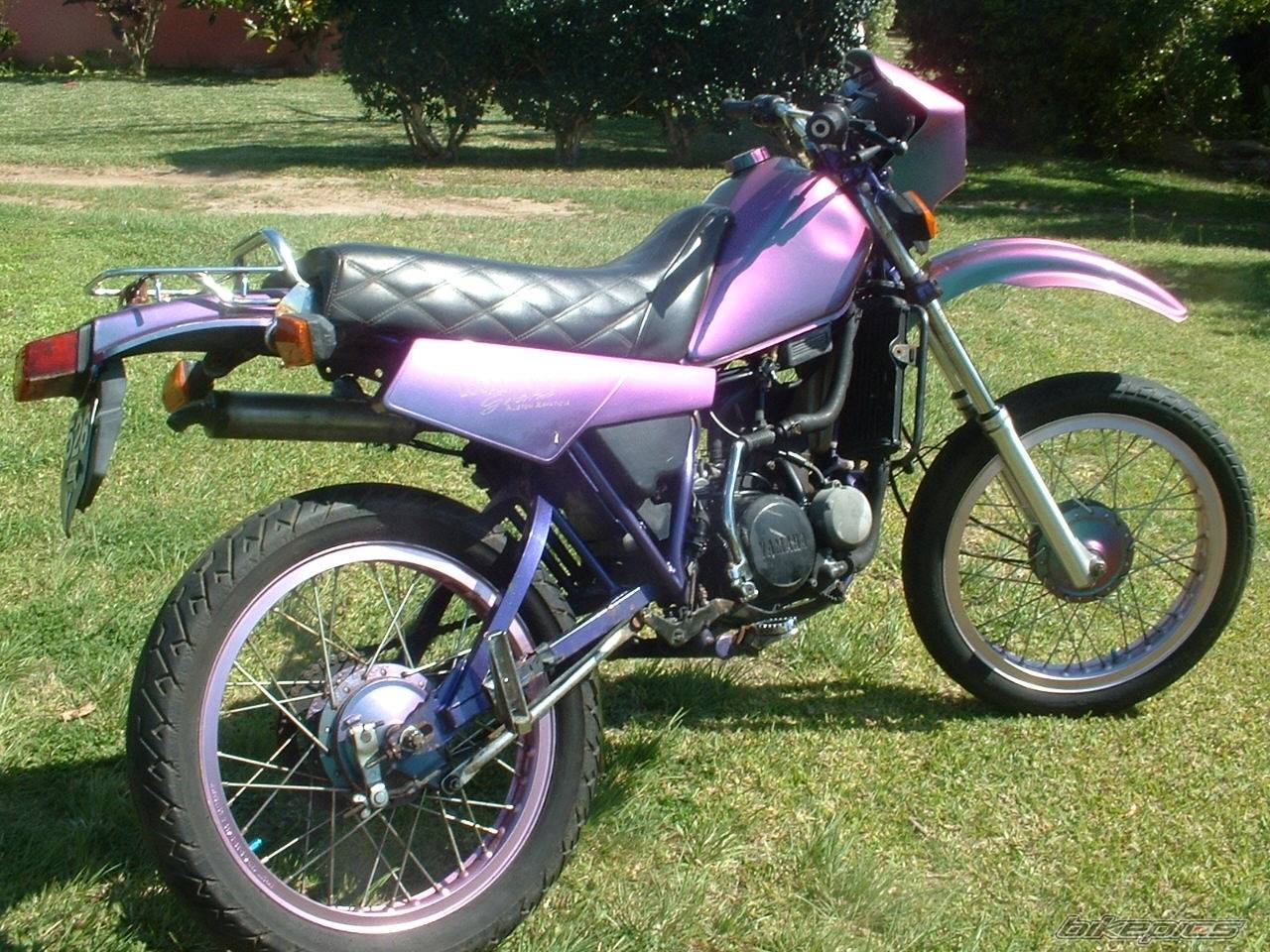 Photo 124125