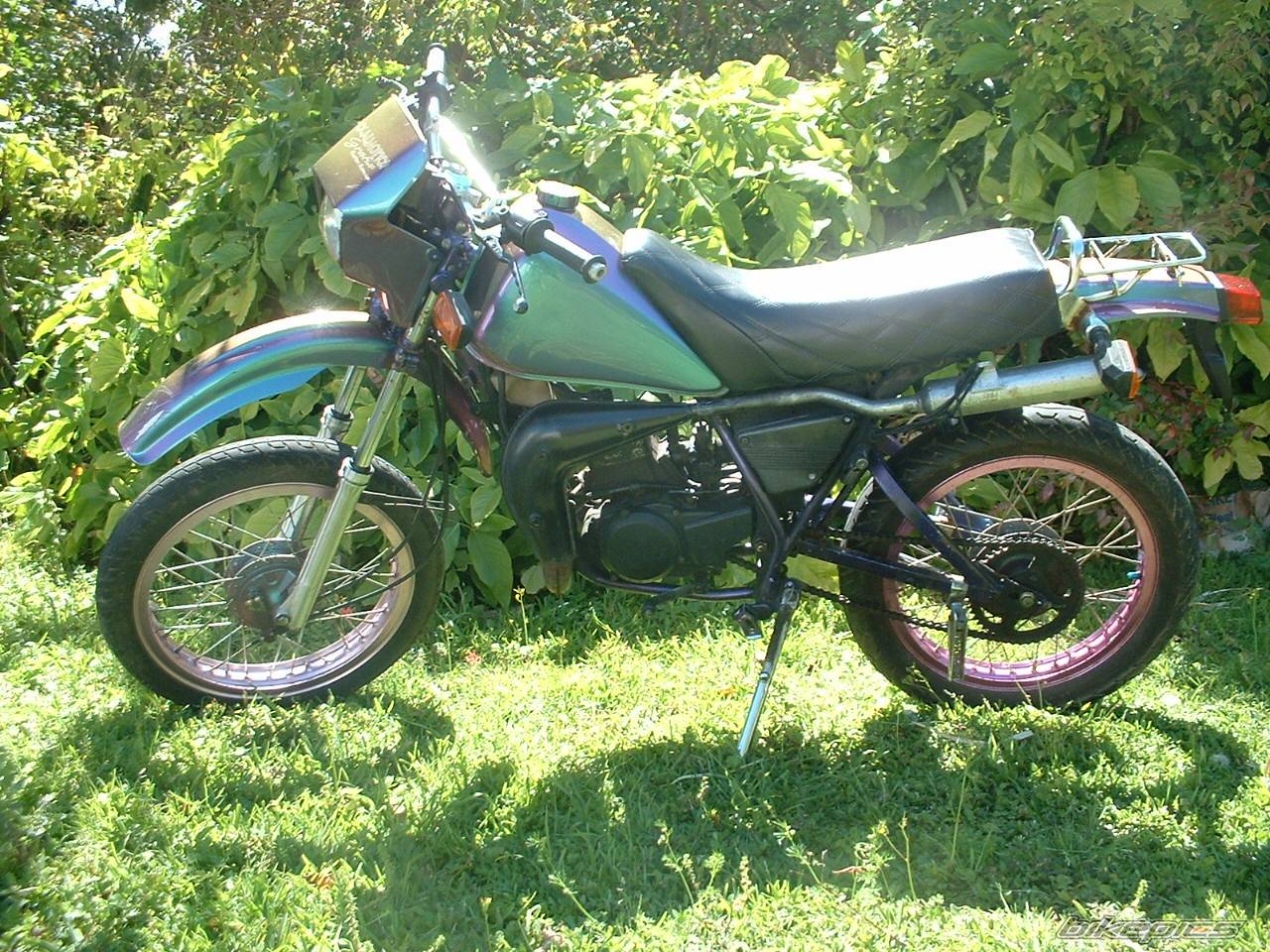 Photo 124126