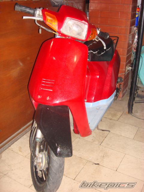 Photo 1241281