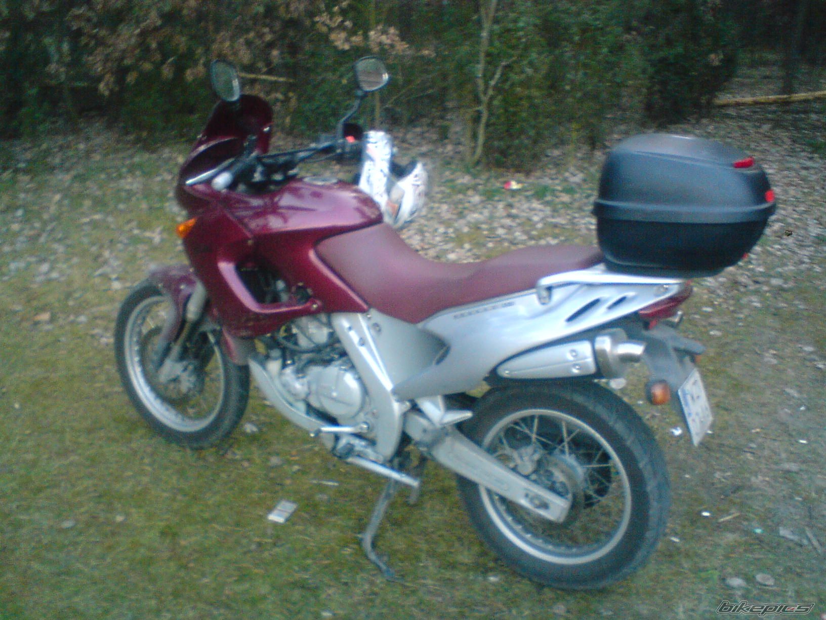 Photo 1241302