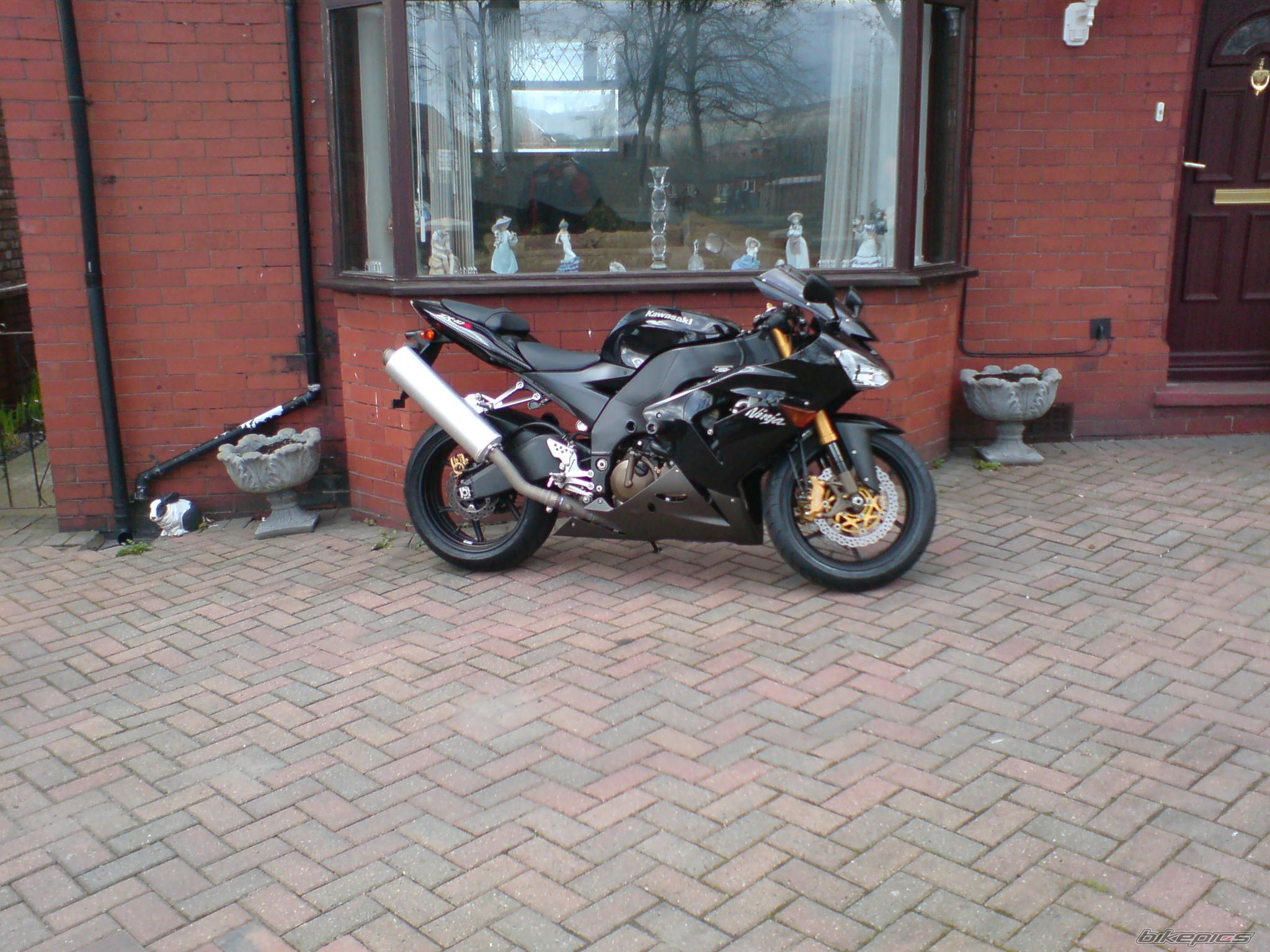 Photo 1241315
