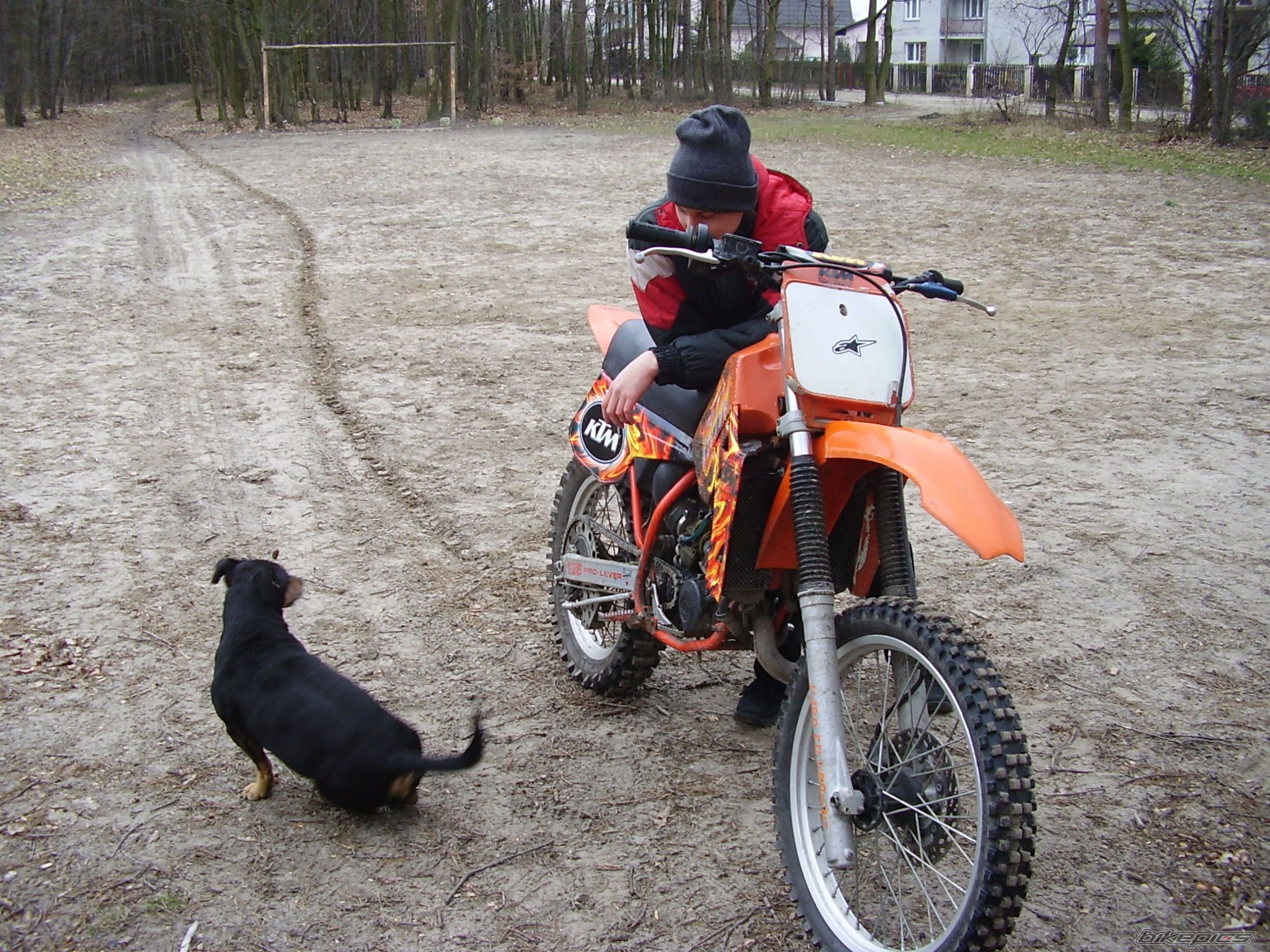 Photo 1241432